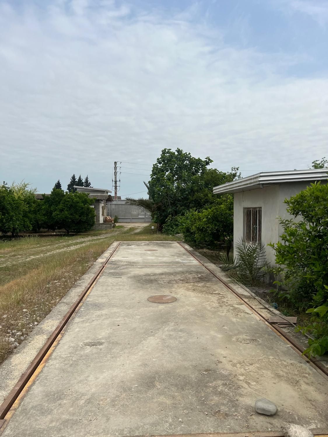 ۹ هزار متر زمین صنعتی برای سوله و سردخانه|فروش دفتر صنعتی، کشاورزی، تجاری|کیاکلا, |دیوار