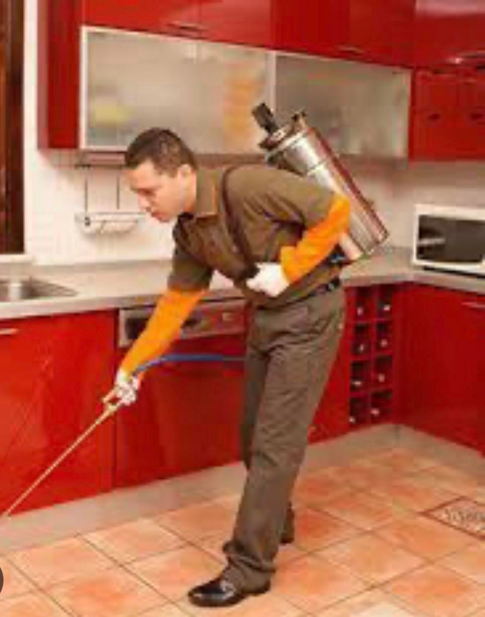 سمپاشی خانه وباغ+سموم ترکیبی زیرنظرمتخصص|خدمات باغبانی و درختکاری|چالوس, |دیوار