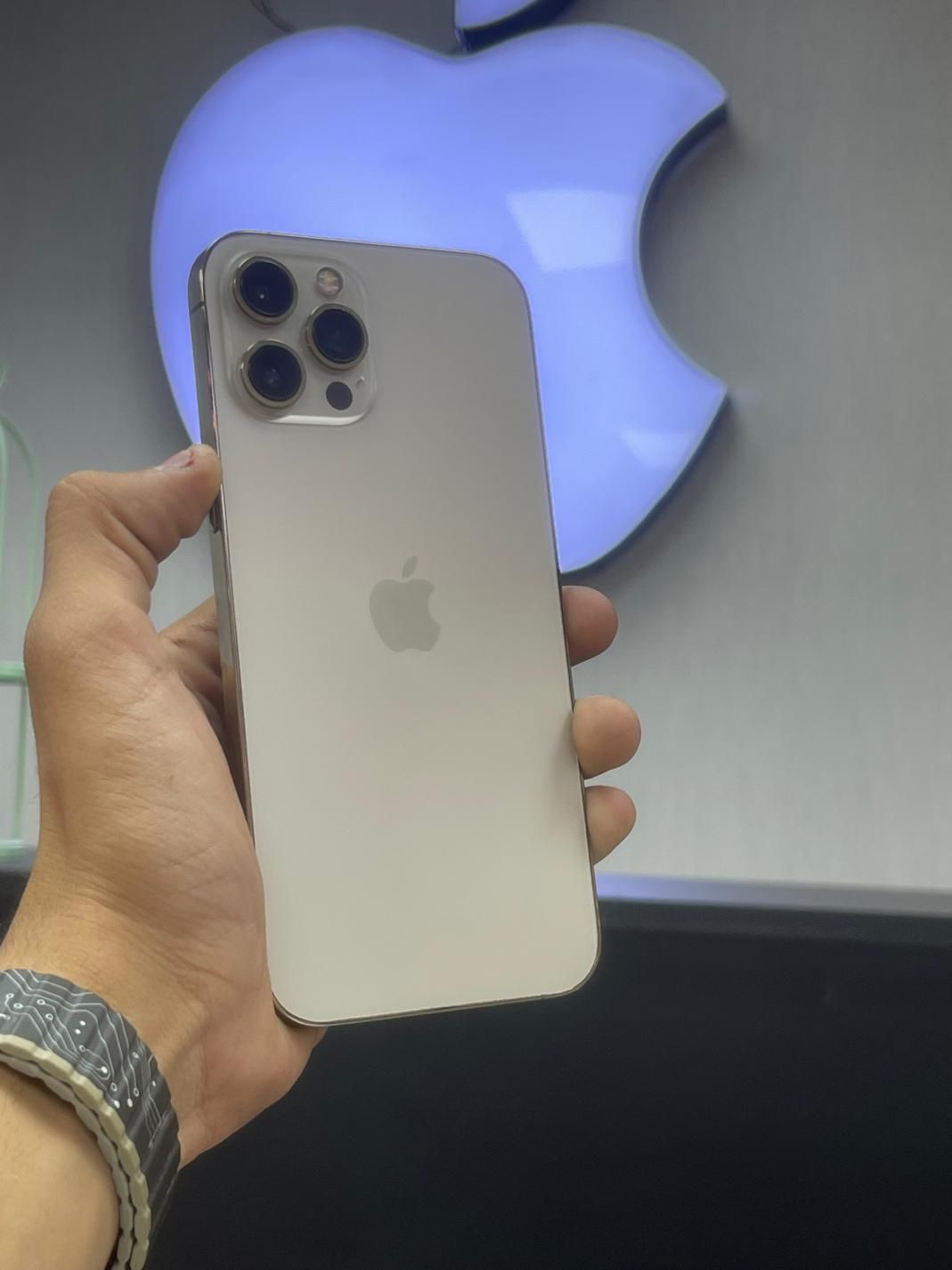 اپل iPhone 12 Pro Max با حافظهٔ ۲۵۶ گیگابایت|موبایل|کرج, درختی|دیوار