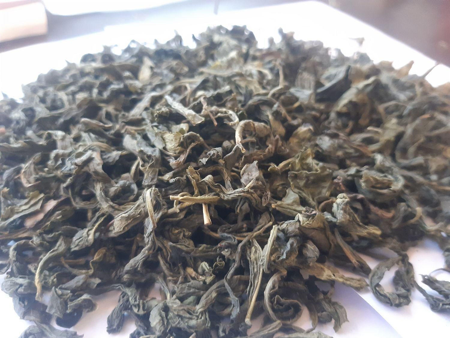 محصول لاهیجان عمده چای سبز|خوردنی و آشامیدنی|لاهیجان, لیالستان|دیوار