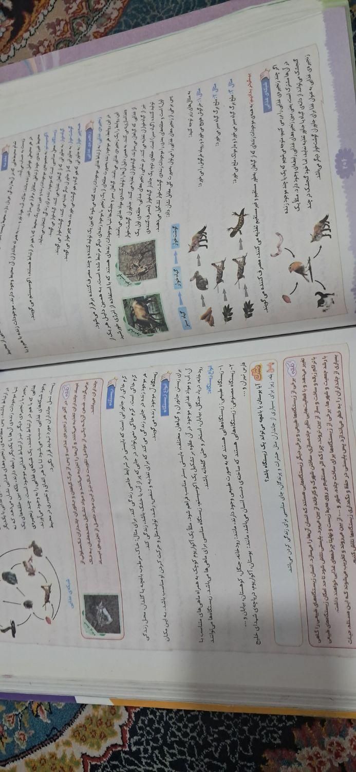 کتاب EQ جامع چهارم|کتاب و مجله آموزشی|کرمانشاه, |دیوار