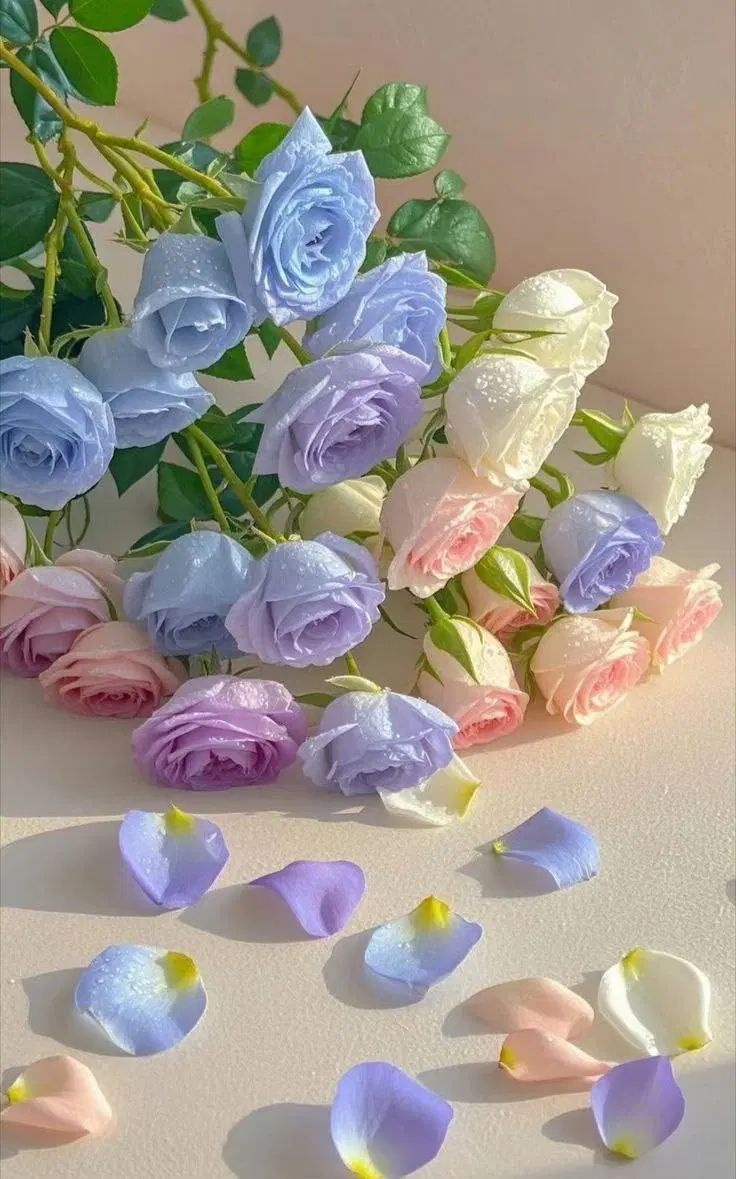 نگهبان جهت برج مسکونی ۲۴ ساعت شیفت ۴۸ ساعت استراحت|استخدام سرایداری و نظافت|تهران, سعادت‌آباد|دیوار
