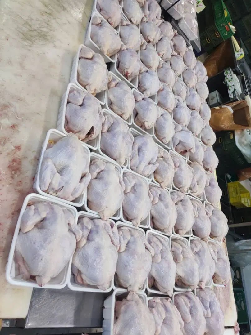 به تعدادی وسط کار آقا نیازمندیم 25تا30میلیون حقوق|استخدام صنعتی، فنی، مهندسی|بومهن, |دیوار