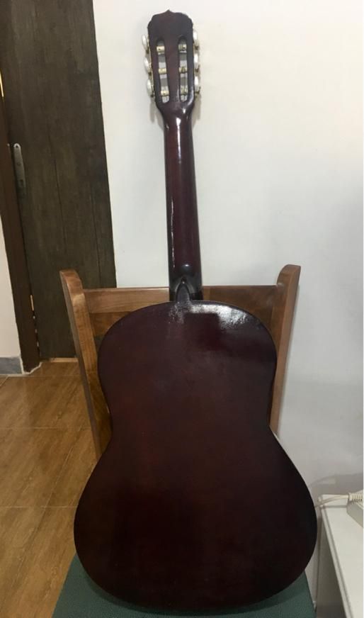 گیتار|گیتار، بیس، امپلیفایر|بوشهر, |دیوار