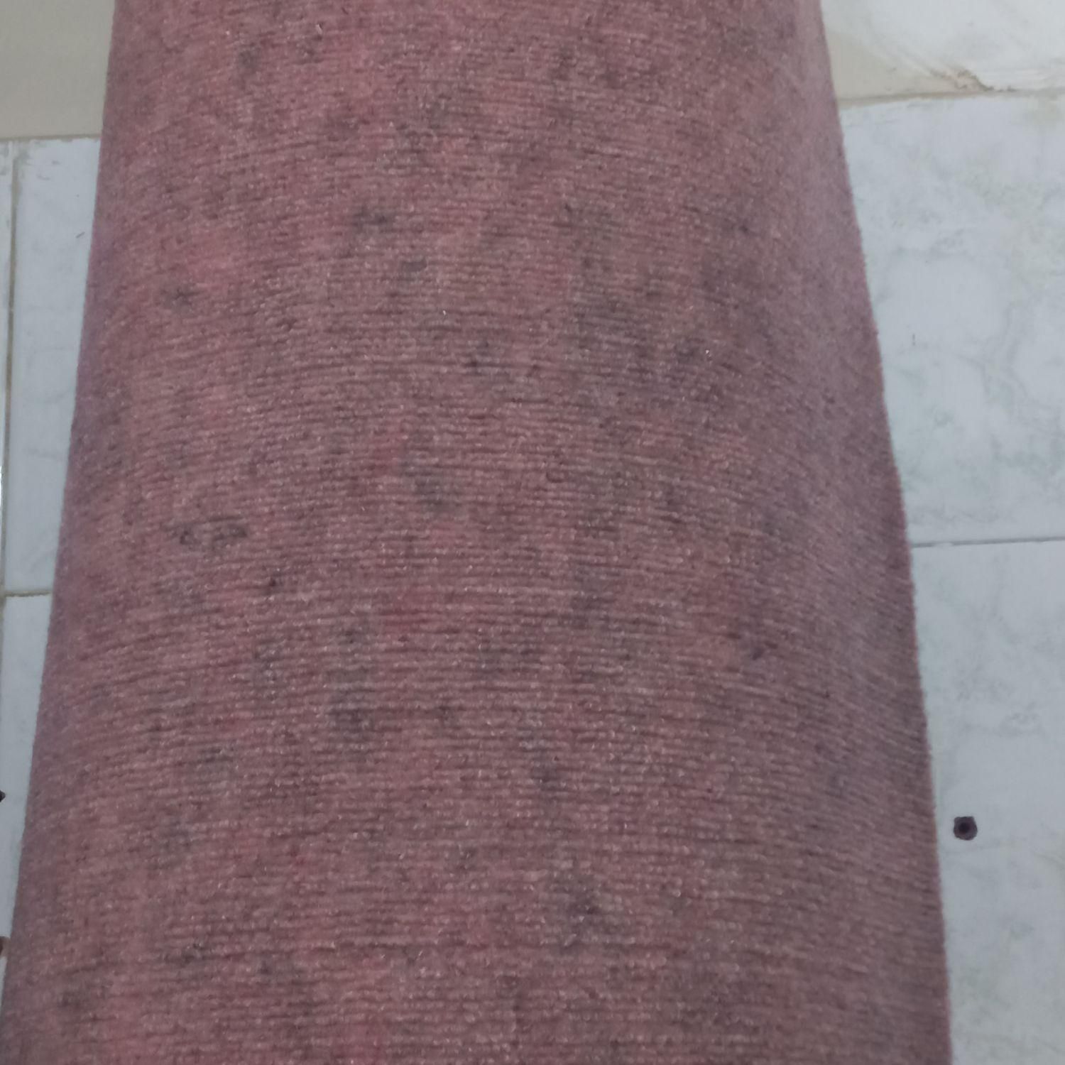 موکت طرح الوان|موکت|گلستان (تهران), |دیوار