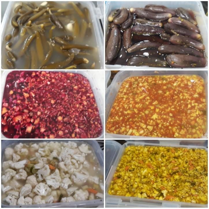 سبزی خردکنی ریحون|خوردنی و آشامیدنی|قدس, شهرقدس|دیوار