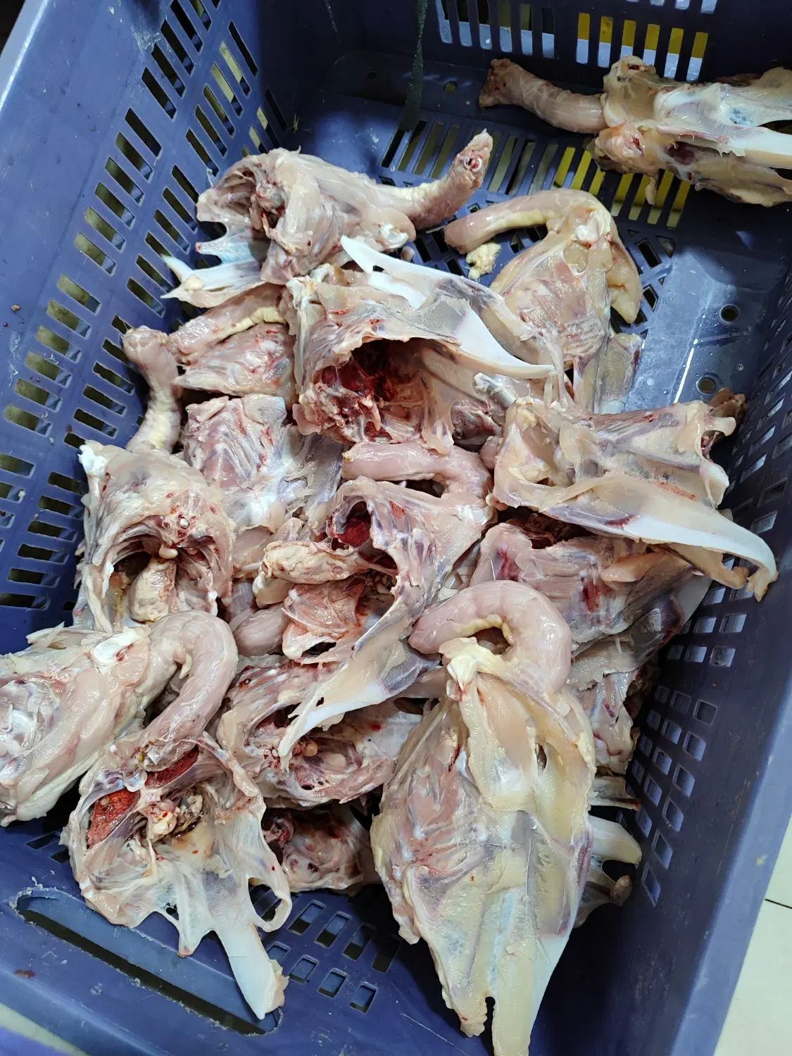 اسکلت مرغ با گردن|خوردنی و آشامیدنی|کرج, مهرویلا شمالی|دیوار