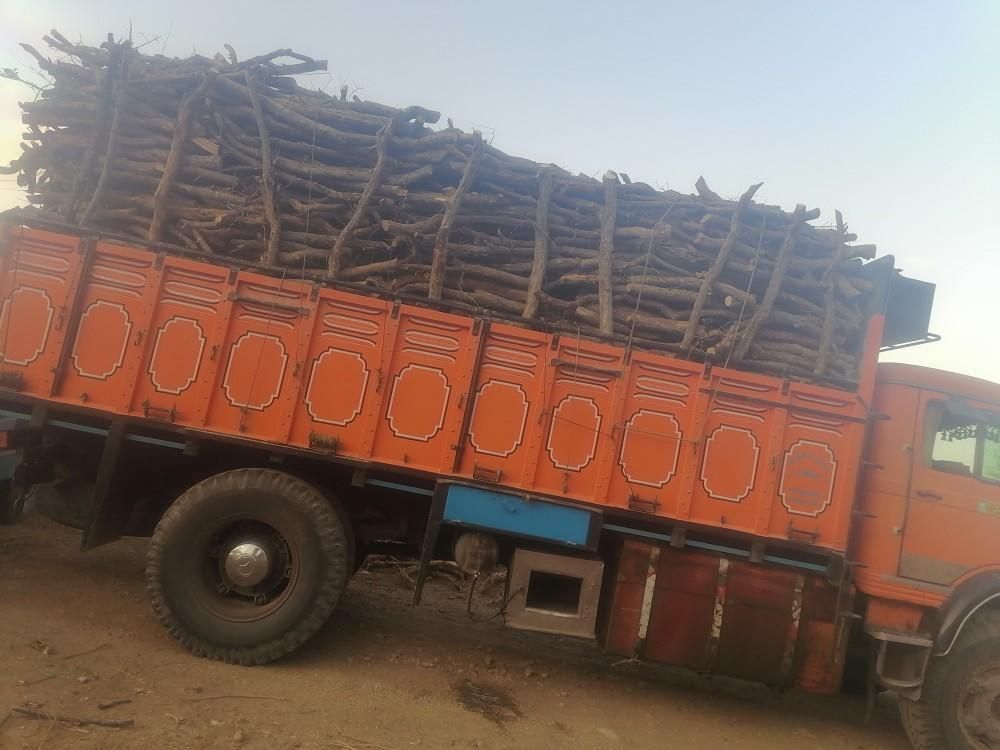 چوب خریدار انواع چوب|خدمات باغبانی و درختکاری|سیرجان, |دیوار