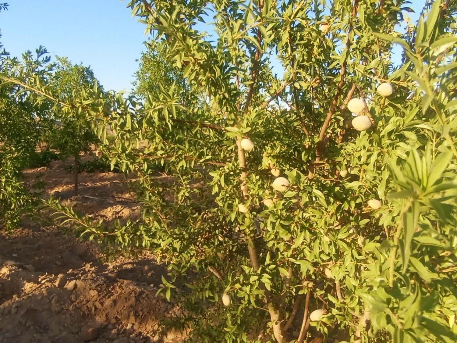 تصویر 7