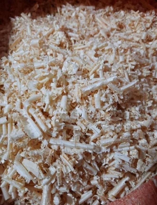 پوشال و تراشه چوب خاک اره چوب|عمدهفروشی|مشهد, امیر|دیوار