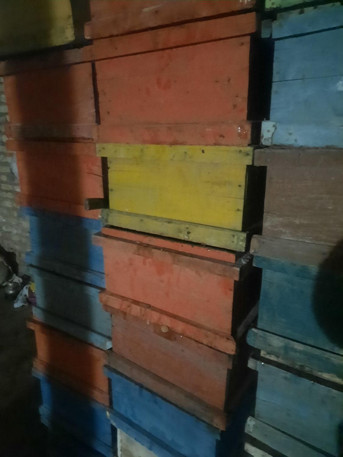 مقداری بدنه ونیم طبق وکندوی خالیه زنبور عسل|حیوانات مزرعه|خوی, |دیوار