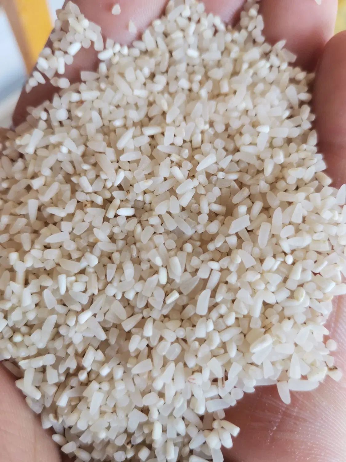 برنج لاشه (نیمدانه) فجر سوزنی معطر اعلی بشرط پخت|خوردنی و آشامیدنی|گرگان, |دیوار