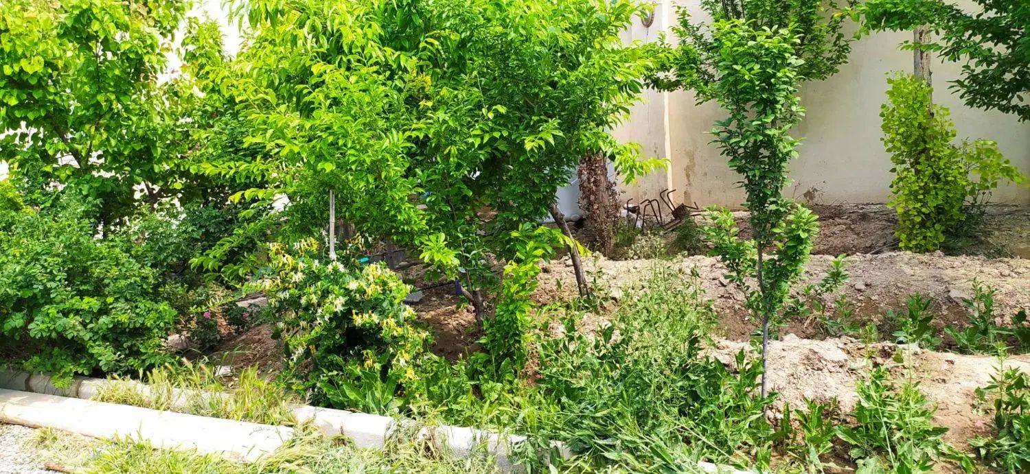 باغ ۱۳۳۰متر شهریار،دهشاد پایین،خیابان ایران زمین|فروش خانه و ویلا|شهریار, دهشاد پائین|دیوار