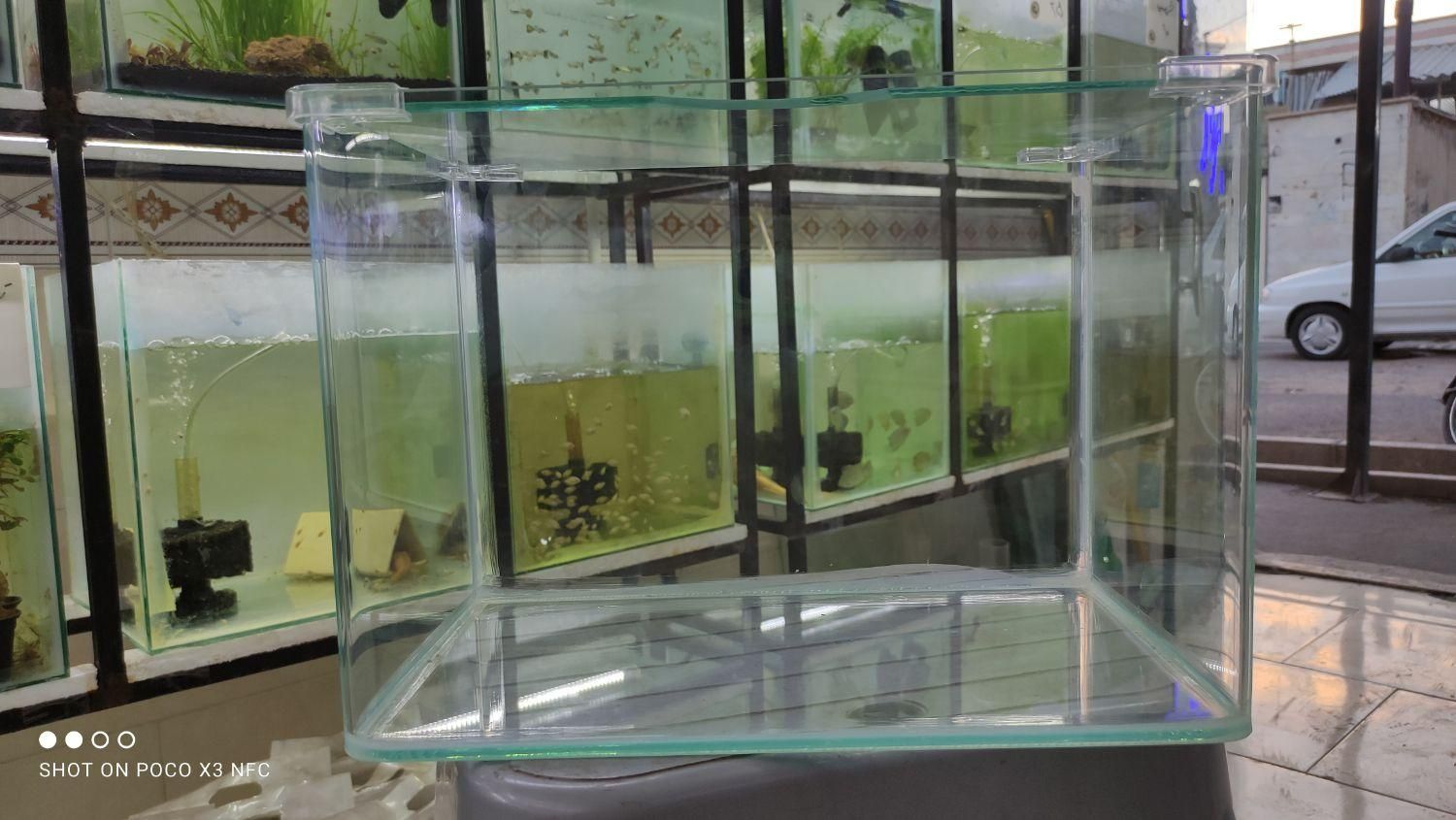 آکواریوم شیشه خم حراج / آکواریوم بهروز|ماهی|زنجان, |دیوار