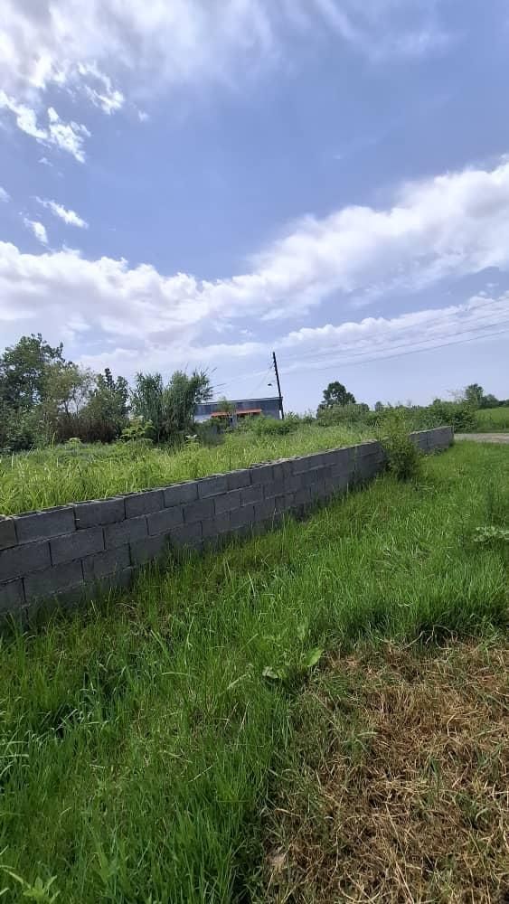 اینجا یه ویلا باغ ۲۰۰۰ متری خوشگل داشته باش|فروش زمین و ملک کلنگی|رشت, بازار|دیوار