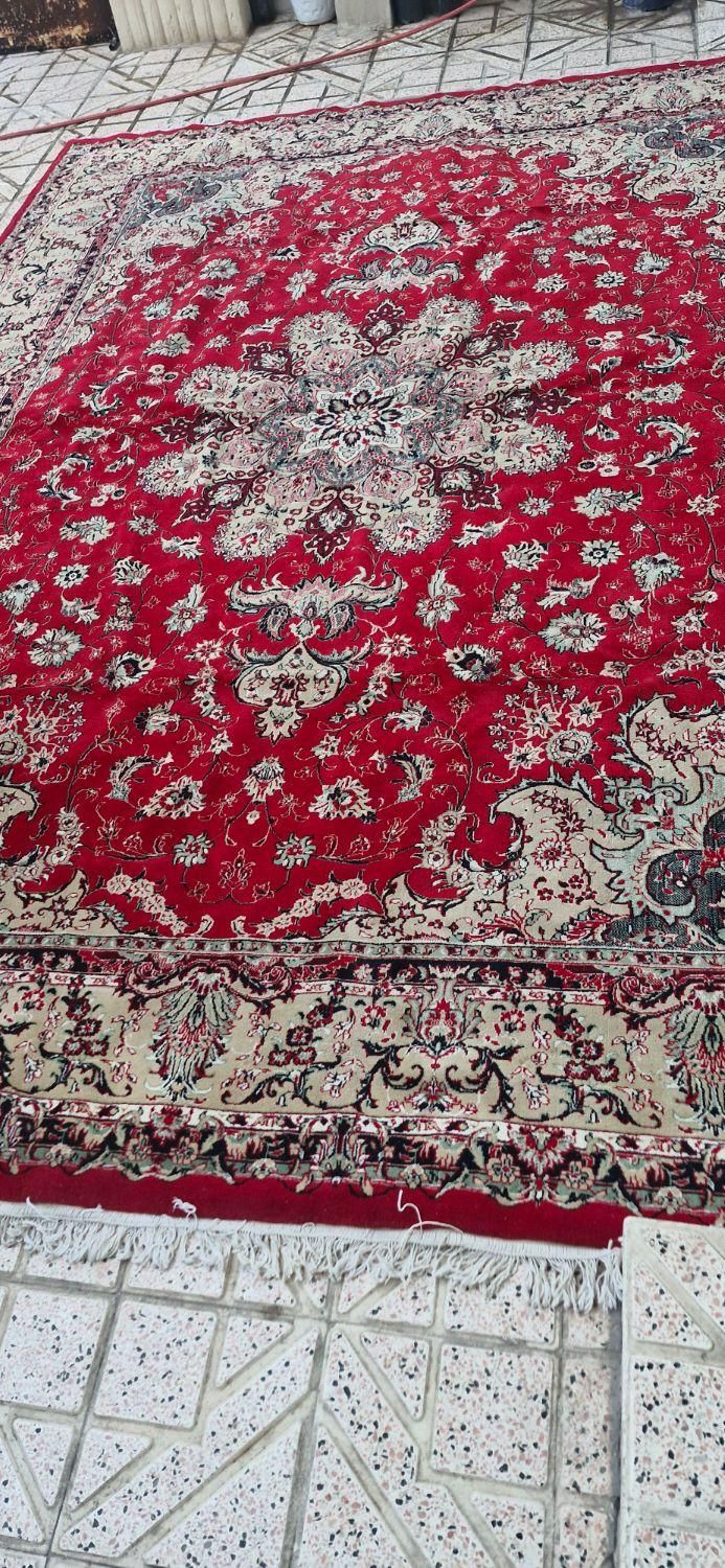 دو تخته فرش ۱۲ متری سالم|فرش|نیشابور, فرح بخش|دیوار