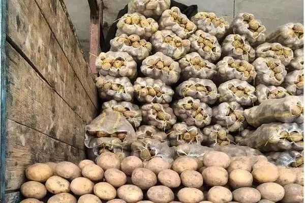 سرکارگر بارگیری سیب زمینی پیازو...|خدمات حمل و نقل|کرمانشاه, |دیوار