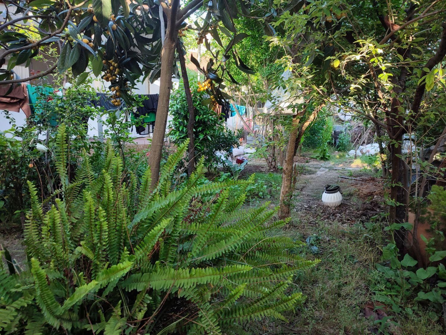 فروش باغ و ویلا کلنگی به متراژ ۳۳۵متردارای سند|فروش زمین و ملک کلنگی|دابودشت, |دیوار