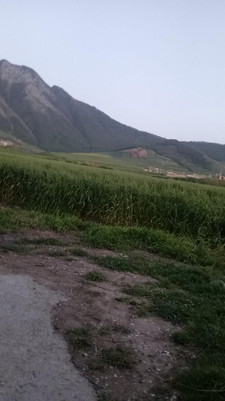 اجاره سوئیت در روستای خمبر آباد|اجارهٔ کوتاه‌مدت آپارتمان و سوئیت|گالیکش, |دیوار