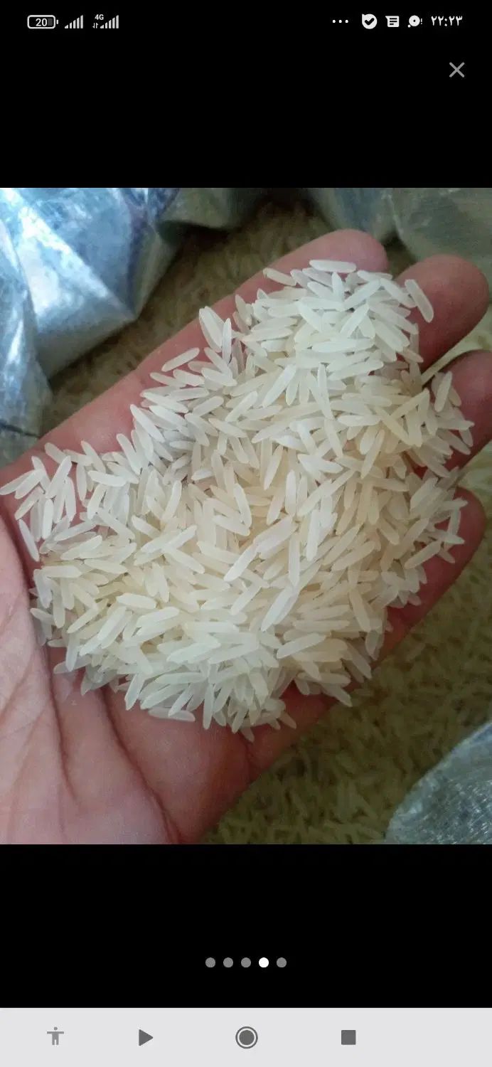 برنج تنظیم بازار کامنوش دانه بلند هندی|خوردنی و آشامیدنی|کرمانشاه, |دیوار