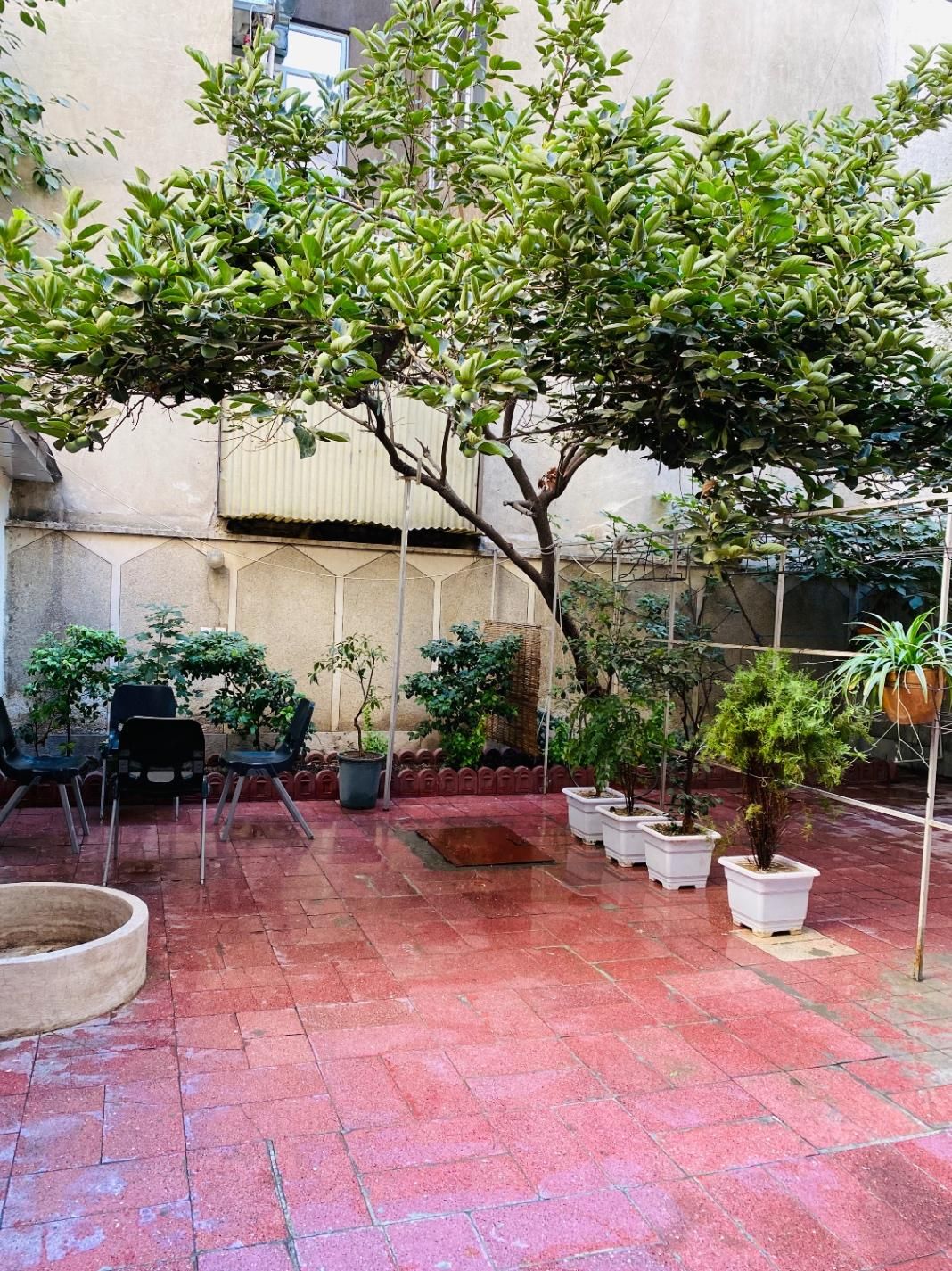 پانسیون دخترانه خاطره|اجارهٔ کوتاهمدت آپارتمان و سوئیت|تهران, عباسآباد|دیوار