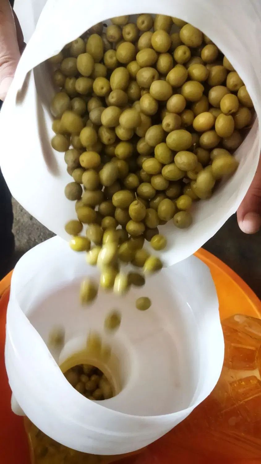 انواع ترشیجات  ، ترشی مخلوط خانگی  و زیتون|خوردنی و آشامیدنی|تهران, اختیاریه|دیوار