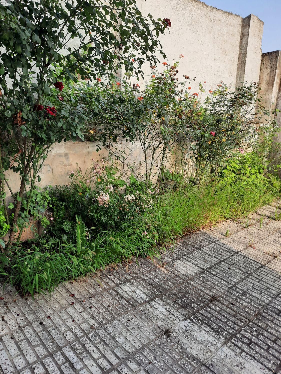 رهن واجاره ویلا جاده نظامی سوخته کلا ویو دریاچه|اجارهٔ خانه و ویلا|قائم‌شهر, |دیوار