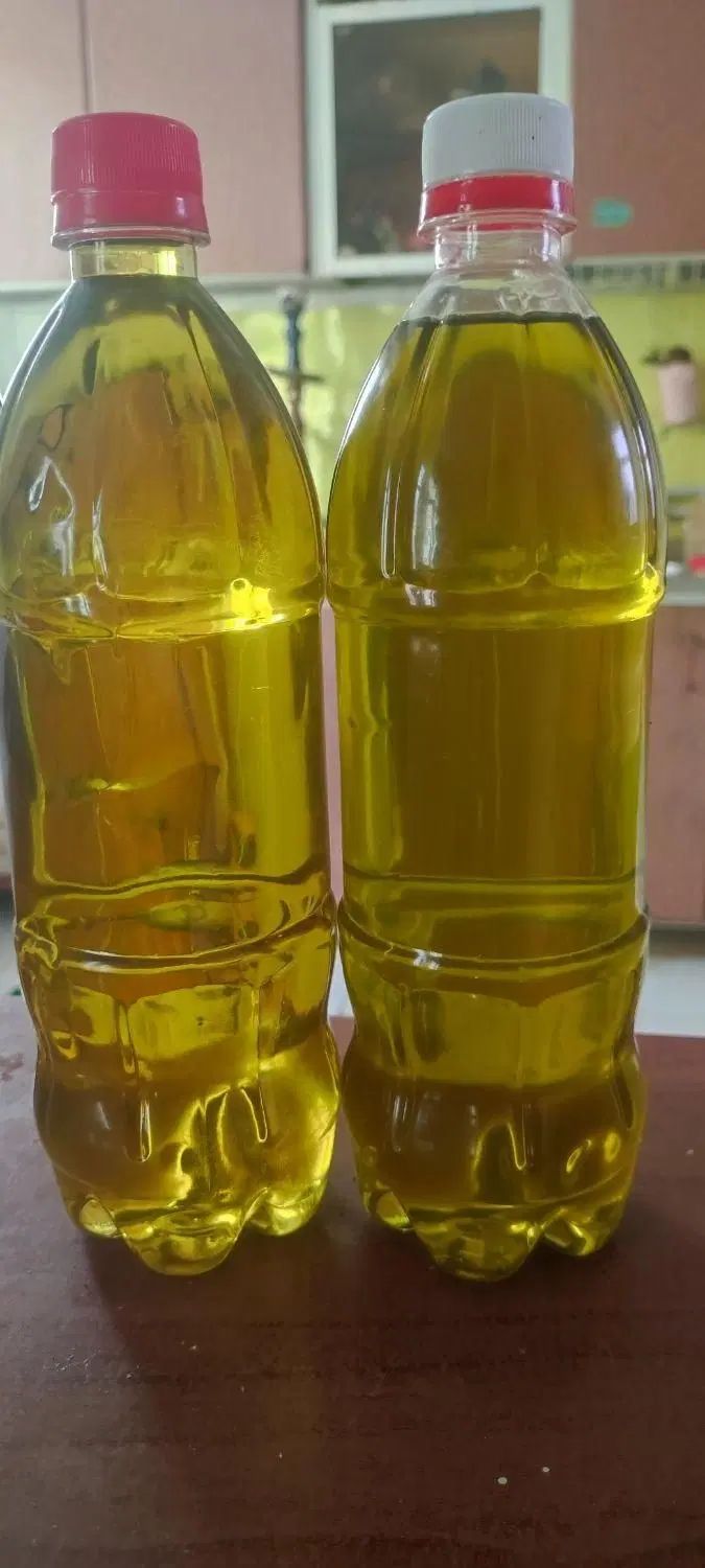 زیتون کنسروی بی. پرورده روغن زیتون مربای انجیر|خوردنی و آشامیدنی|کرج, حصارک بالا|دیوار