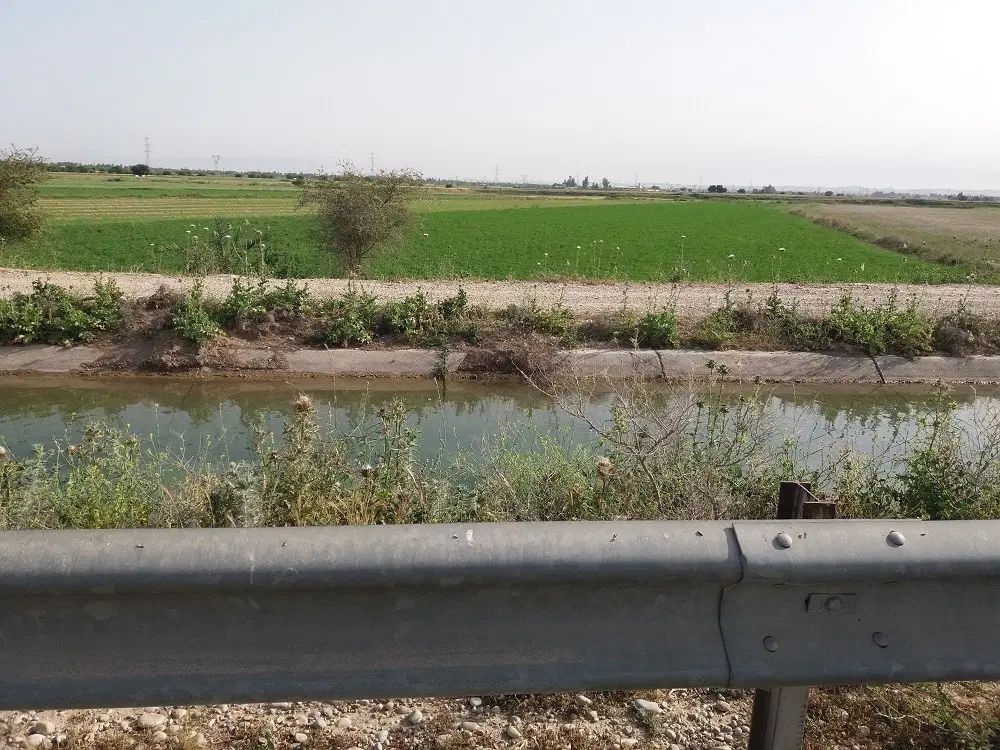 فروش 1.5هکتار زمین آبی کارخانه سیمان ابتدای سدشهدا|فروش دفتر صنعتی، کشاورزی، تجاری|بهبهان, |دیوار