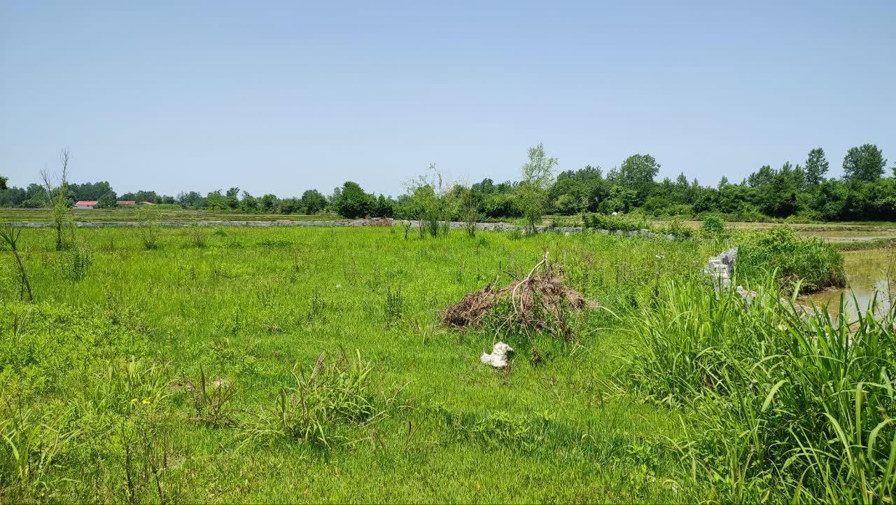 فروش زمین در روستای چهارده|فروش زمین و ملک کلنگی|آستانه اشرفیه, |دیوار