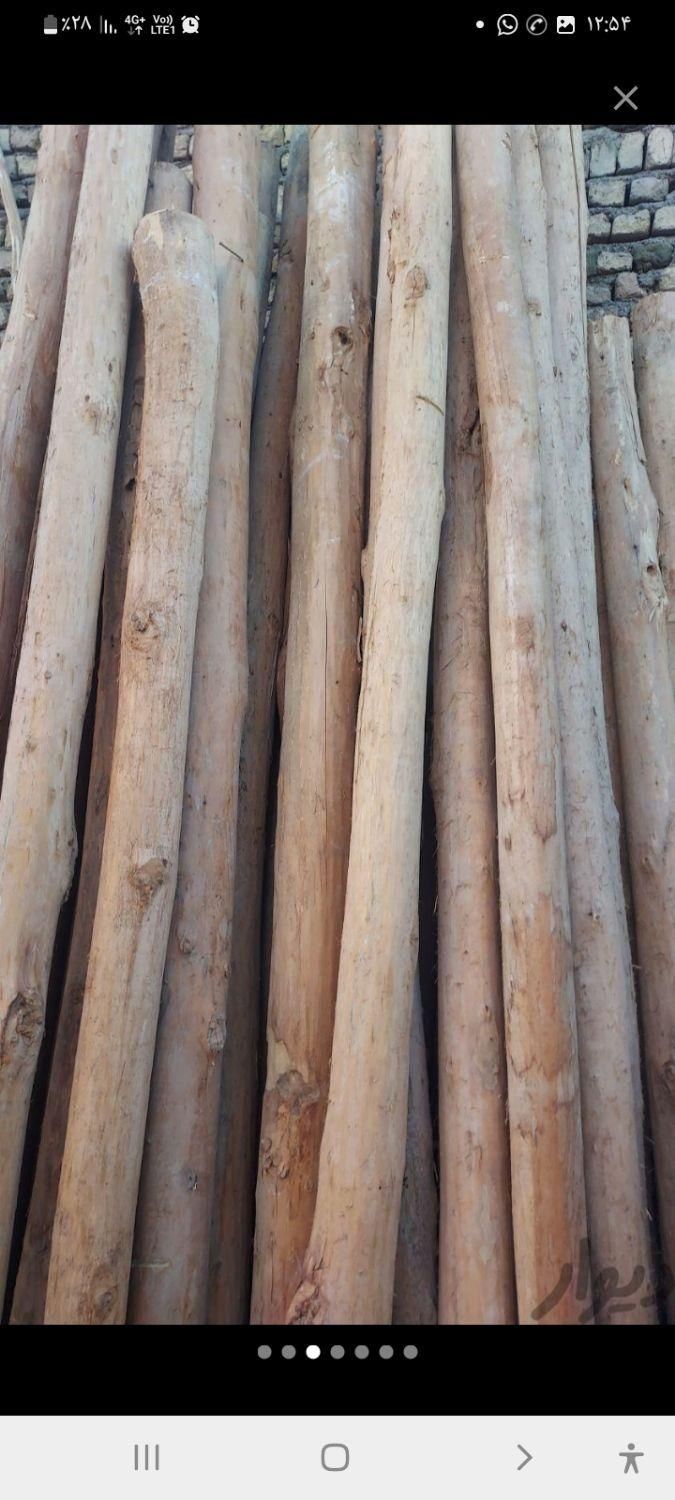 نردبان دسته بیل و پرچم و چوب آتشی چوب سفقی|عمدهفروشی|مشهد, خین عرب|دیوار