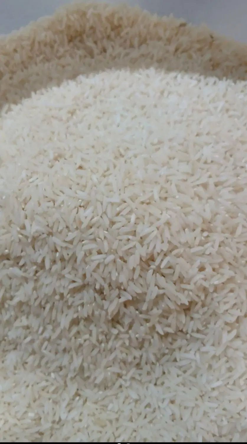 برنج تازه برداشت طارم هاشمی اصل|خوردنی و آشامیدنی|تهران, عبدل‌آباد|دیوار