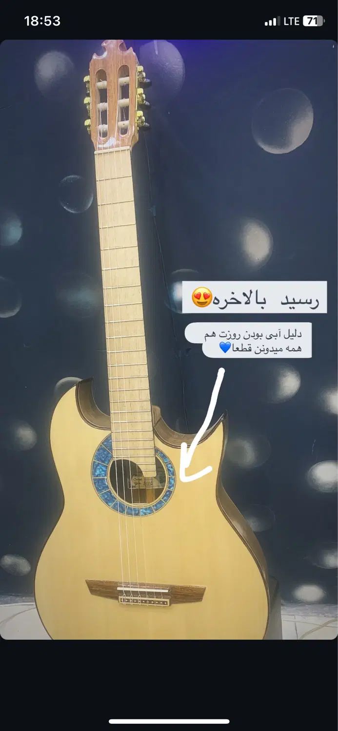 گیتار حرفه ای بابک امینی|گیتار، بیس، امپلیفایر|مشهد, ایثار|دیوار