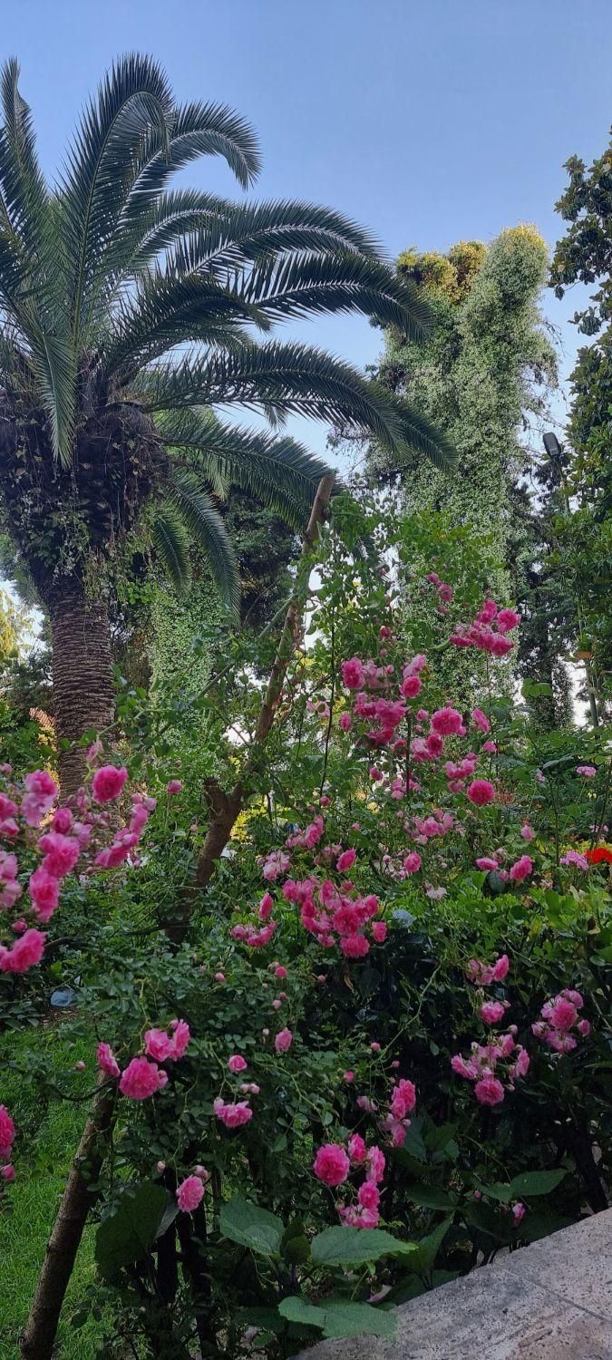 واحد رویایی در دهکده ساحلی (شهرکی اصیل )/تهاتر|فروش آپارتمان|رشت, گلباغ نماز|دیوار