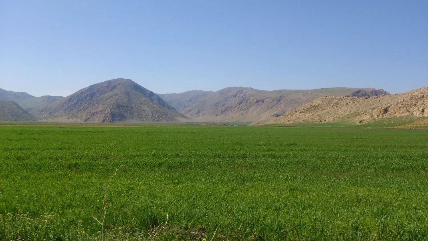 راهنمایی کار|فعالیت داوطلبانه|تهران, جیحون|دیوار