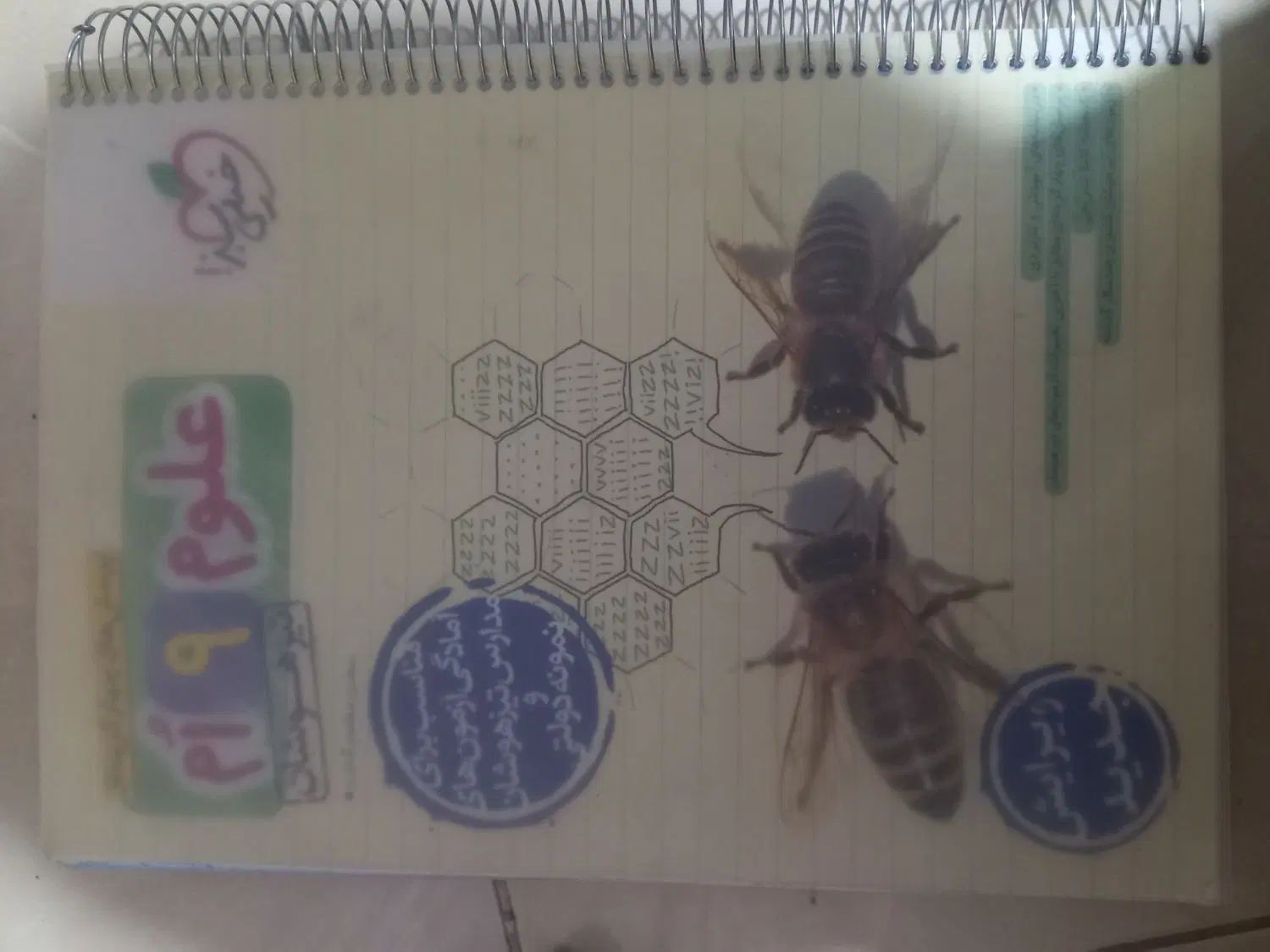 کتاب کار علوم ورود به مدارس خاص و تیزهوشان نهم|کتاب و مجله آموزشی|پاکدشت, پاکدشت (مامازند)|دیوار