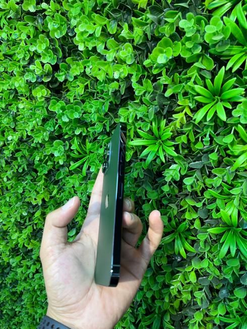 اپل iPhone 13 Pro Max با حافظهٔ ۱ ترابایت|موبایل|قم, بلوار امین و ساحلی|دیوار
