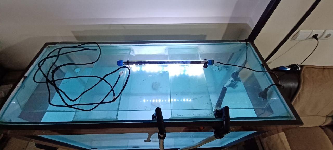 آکواریوم با تمام لوازم|ماهی|قدس, شهرقدس|دیوار