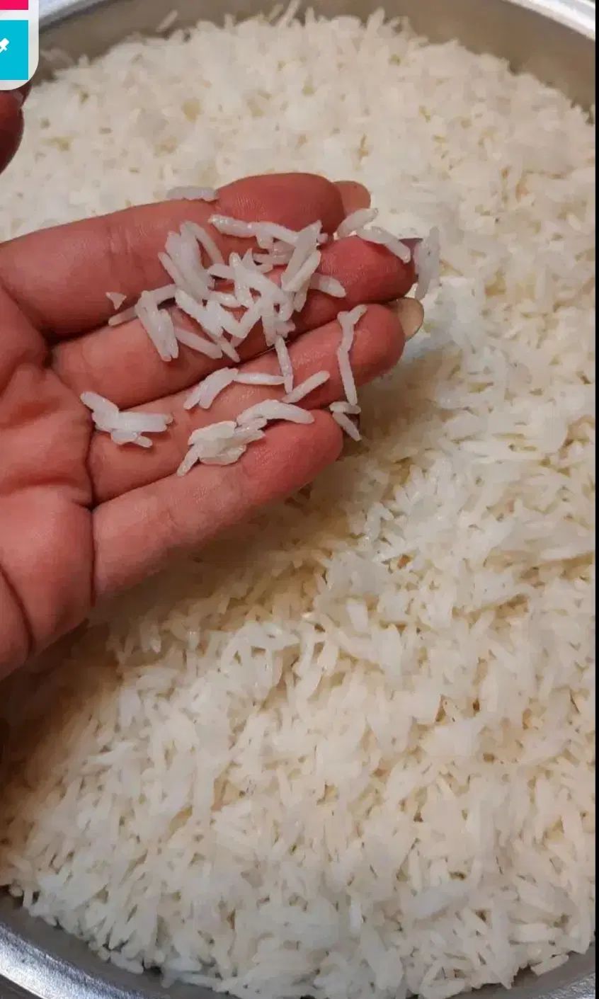 برنج هاشمی درجه یک|خوردنی و آشامیدنی|تهران, سبلان (لشگر)|دیوار