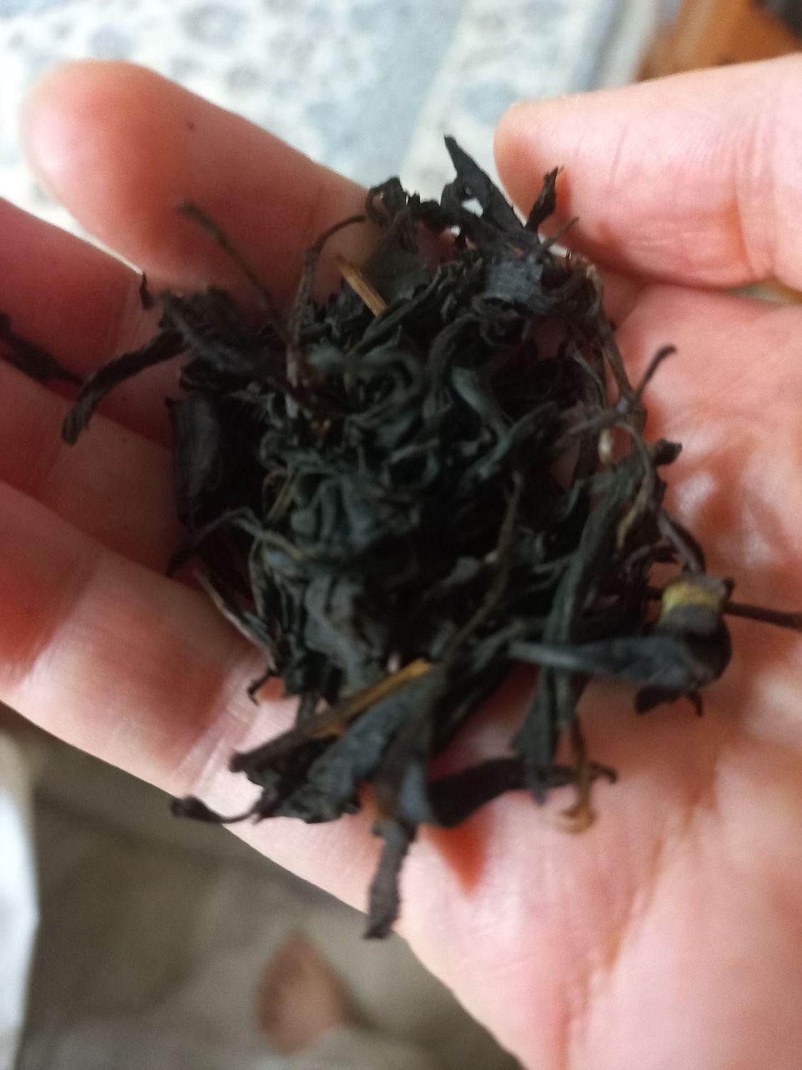 چای بهاره ارگانیک باغ خودم خرید عمده با تخفیف ویژه|خوردنی و آشامیدنی|لاهیجان, لاشیدان|دیوار