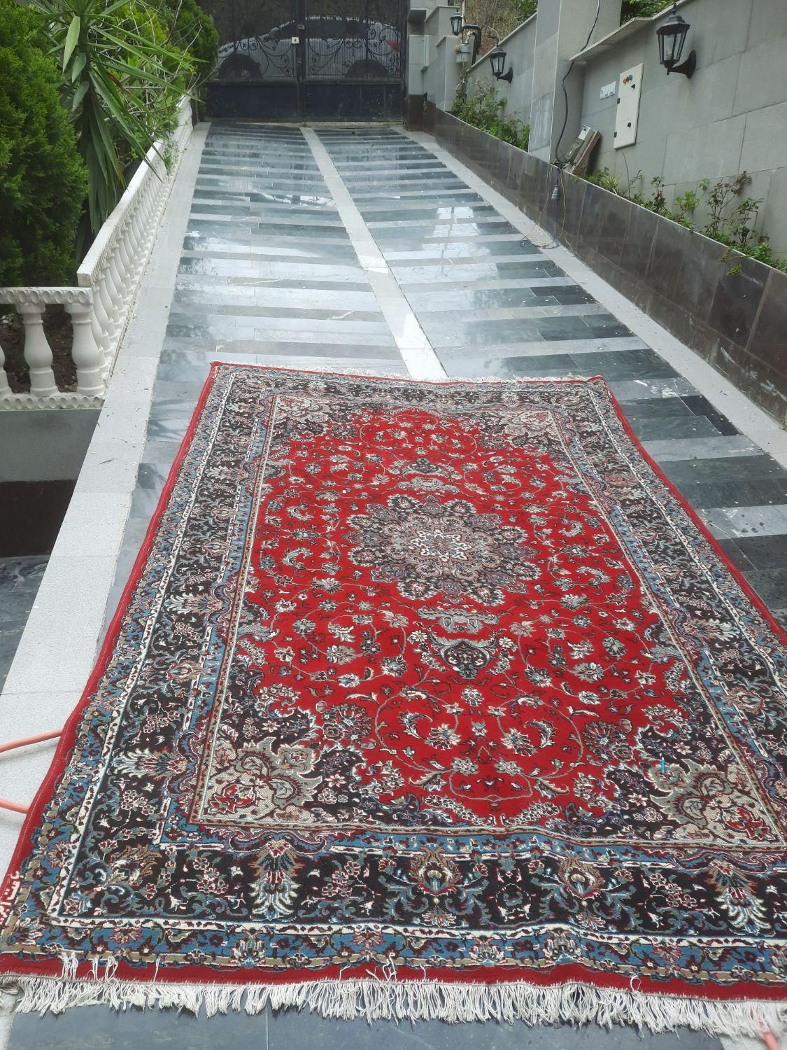 فرش ۶ متری ماشینی تمیز|فرش|لاهیجان, شیشه گران|دیوار