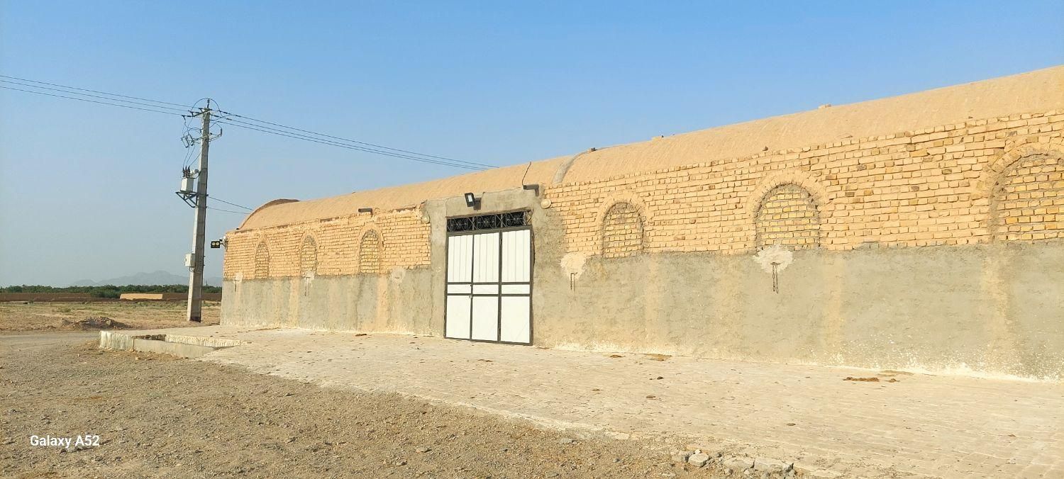 زمین ۳۷۰۰ متر مربع با ۶سالن بزرگ و پروانه دامداری|فروش دفتر صنعتی، کشاورزی، تجاری|میبد, |دیوار