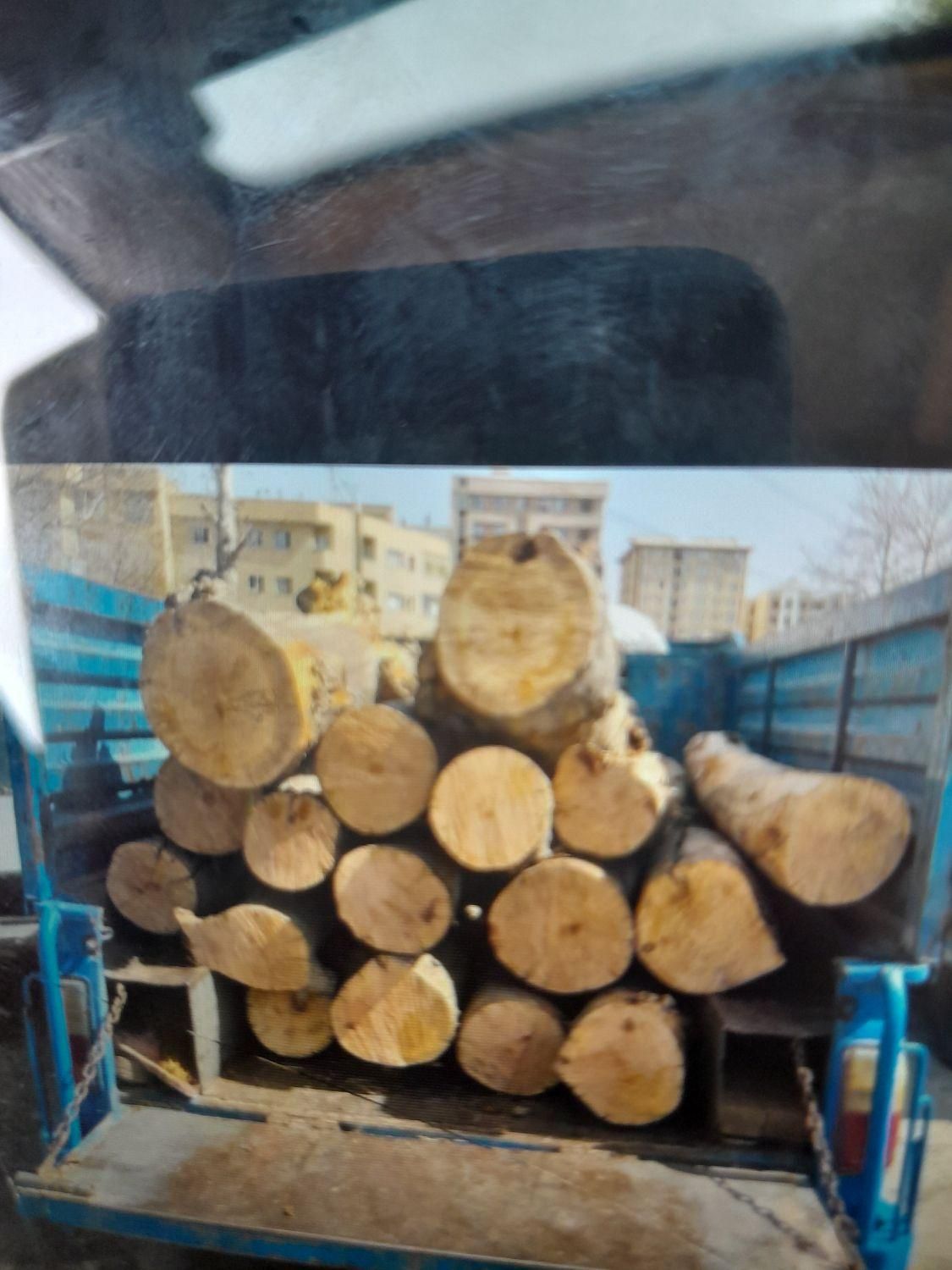 برش درخت هرس درخت خریدچوب|خدمات باغبانی و درختکاری|تهران, افسریه شمالی|دیوار