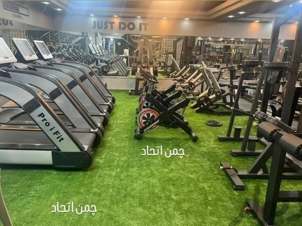 چمن مصنوعی باشگاه ورزشی|مصالح و تجهیزات ساختمان|تبریز, |دیوار