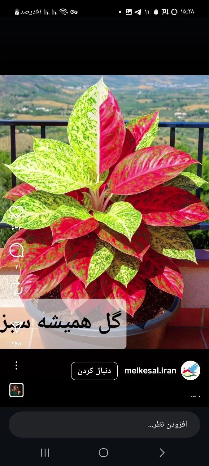 رهن واجاره آپارتمان ۱۱۰متر جنوبی ویلاشهر|اجارهٔ آپارتمان|تبریز, |دیوار