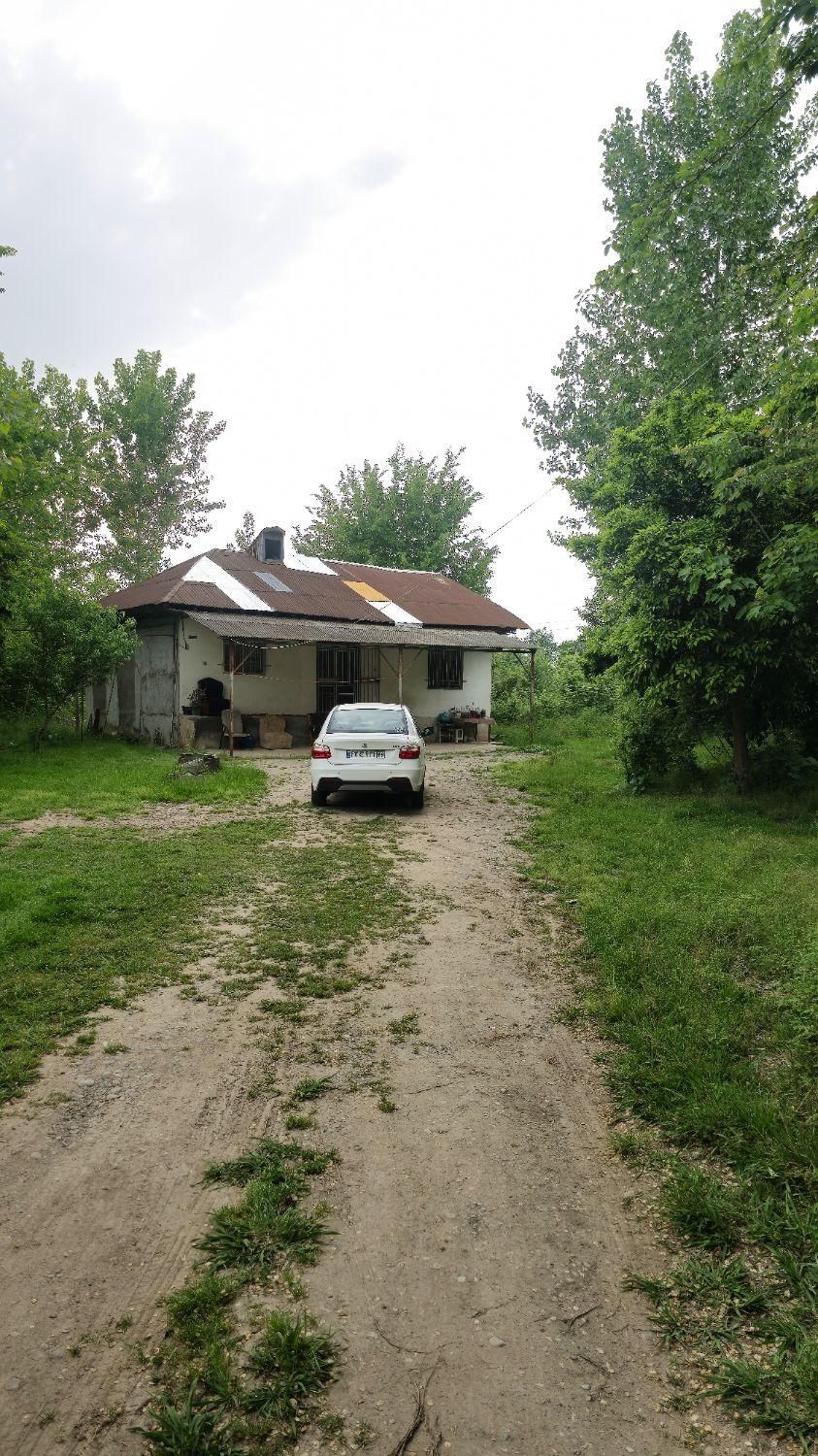 کد آقاسی/یازده هزارمترخانه محوطه و شالیزار سنتی|فروش خانه و ویلا|کوچصفهان, |دیوار