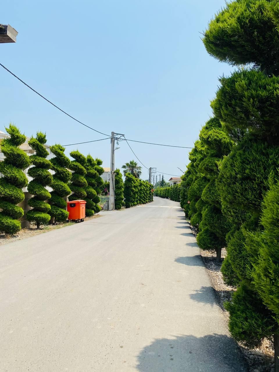 زمین برند ترین شهرک ۲۰۰و۳۰۰متر موجود امیراباد|فروش زمین و ملک کلنگی|چمستان, |دیوار