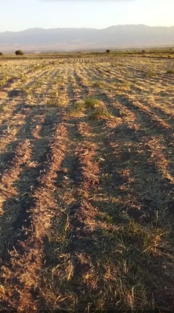 6000متر زمین کشاورزی باآب چاه موتور|اجارهٔ دفتر صنعتی، کشاورزی، تجاری|مشهد, هفده شهریور|دیوار