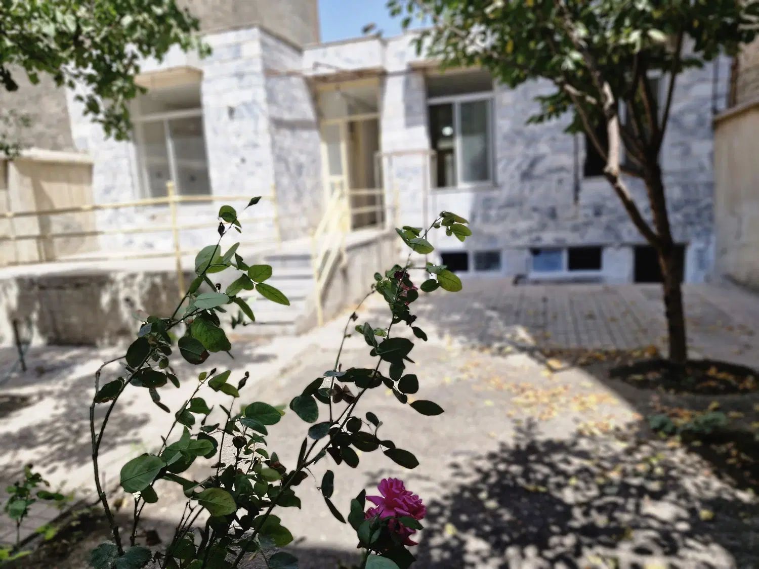 ۲۲۰ متر ملک ویلایی دربست قدیمی جنوبی توس فرمانبر|اجارهٔ خانه و ویلا|مشهد, توس (بلوار توس)|دیوار