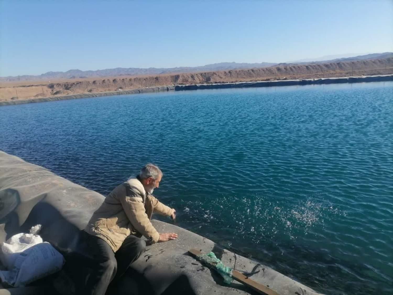 فروش و اجرای ورق استخری ژئوممبران|خدمات پیشه و مهارت|فردوس (خراسان), |دیوار